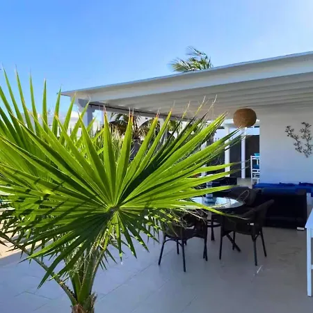 Queen Papagayo Vetusta