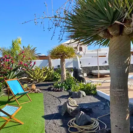 Queen Papagayo Vetusta *