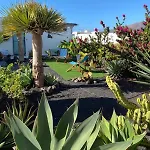 Vila Queen Papagayo Vetusta