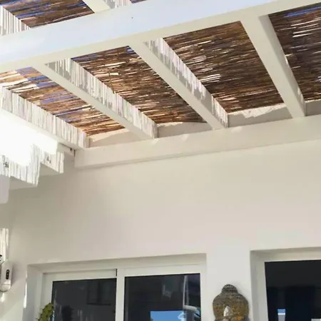 فيلة Queen Papagayo Vetusta