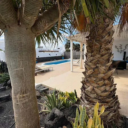 Queen Papagayo Vetusta فيلة